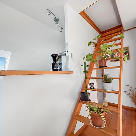 Charming T2 Close To Zenith Apartman